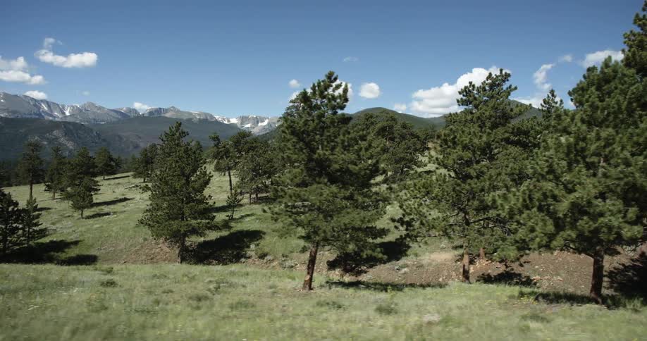 Rows of hills are covered in trees on a sunny day