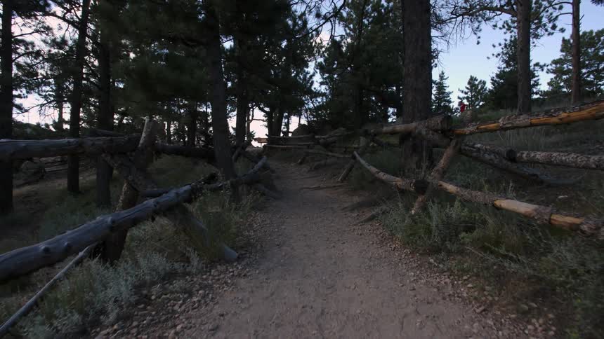 A view along a fenced-in dirt path in the forest