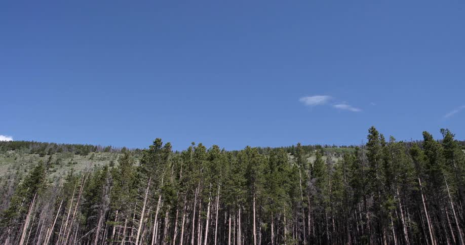 Colorado