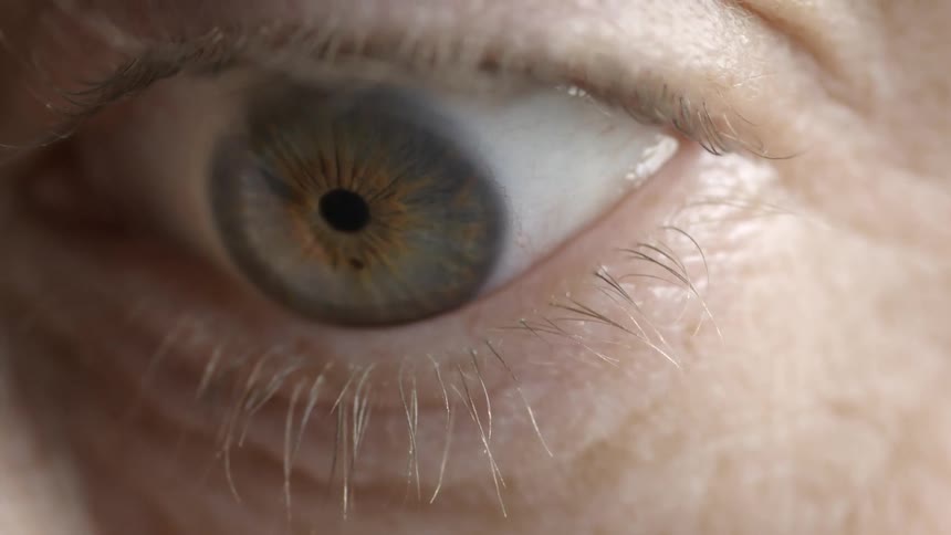 Close up of a hazel color eye,