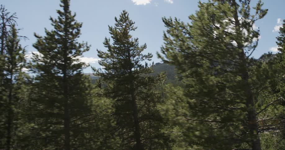 Colorado