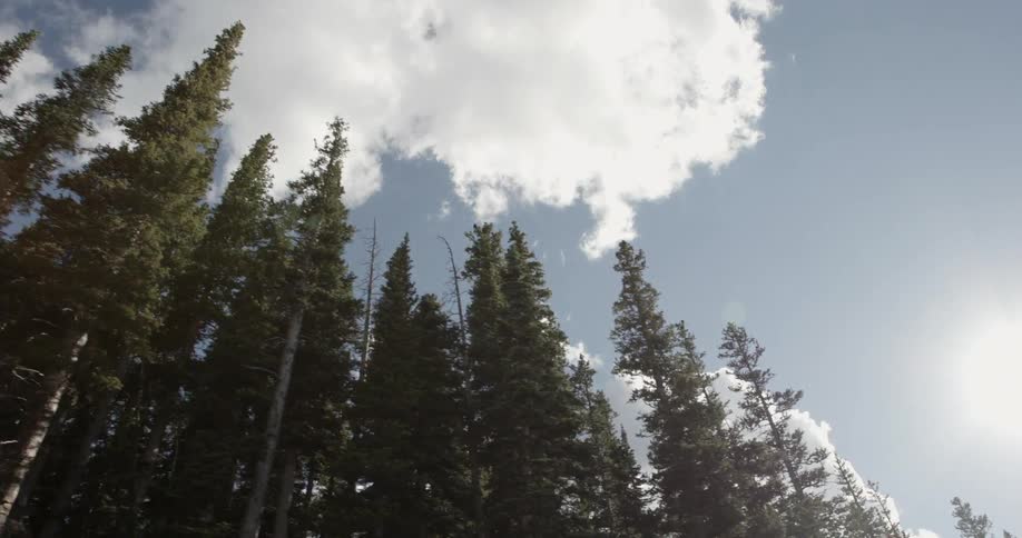 Looking up at the clouds in the sky