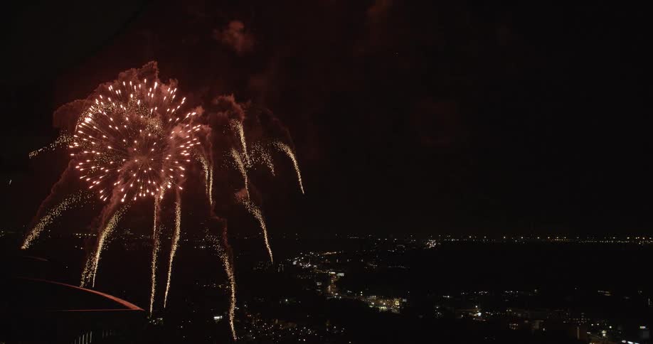 Fireworks explode in the distance in a pitch black sky
