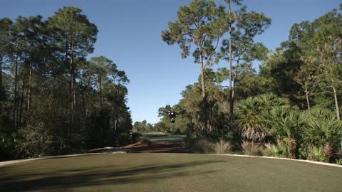 A drone flies down a tree lined street on a sunny day