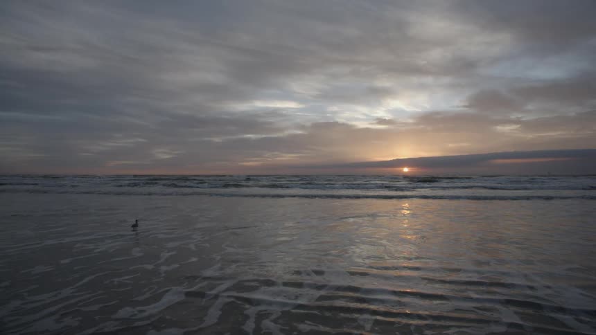 A scenery of an ocean at dawn