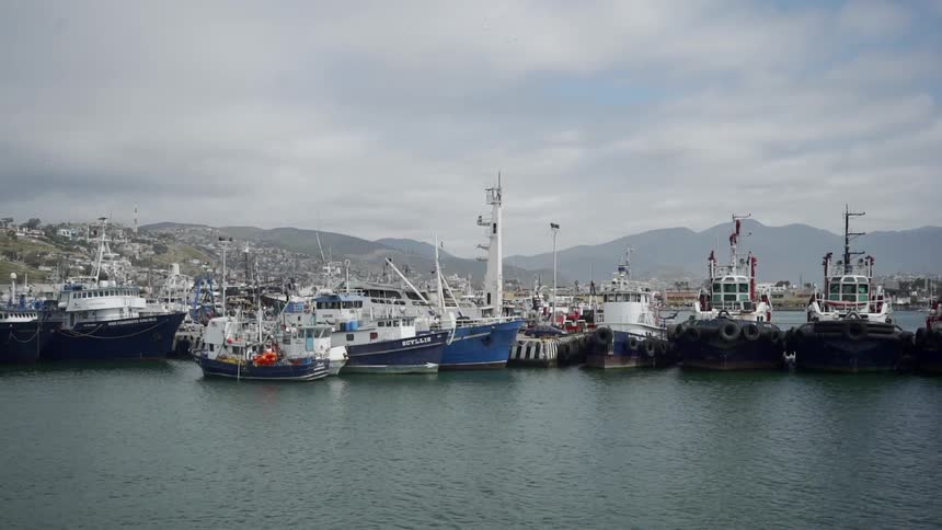 A harbor with many boats with mountains and the sky in the background