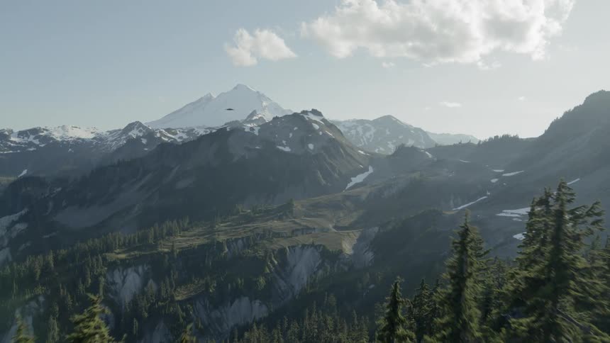 Flying thru alpine trees to reveal a vast and rugged mountain landscape