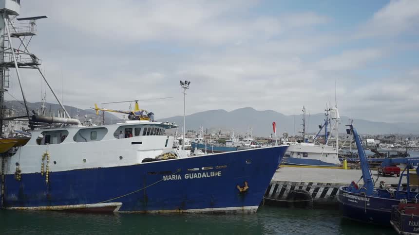 A harbor with boats with a person next to a helicopter