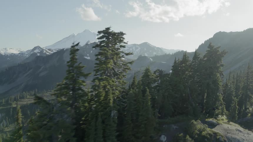 Dynamic rotation around several stands of fir trees to reveal layers of snowy mountain peaks bathed in sunshine