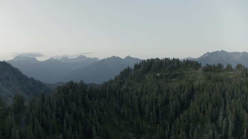 Flying above the trees along a mountainside alpine forest