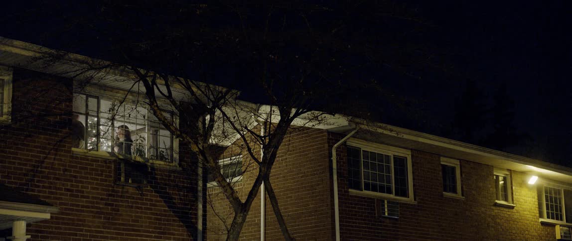 Two people standing in the window of a house at night