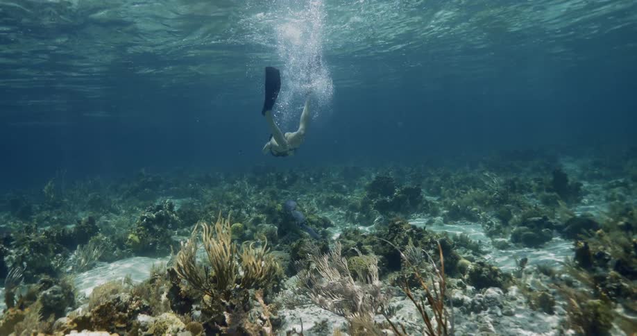 A woman swimming underwater
