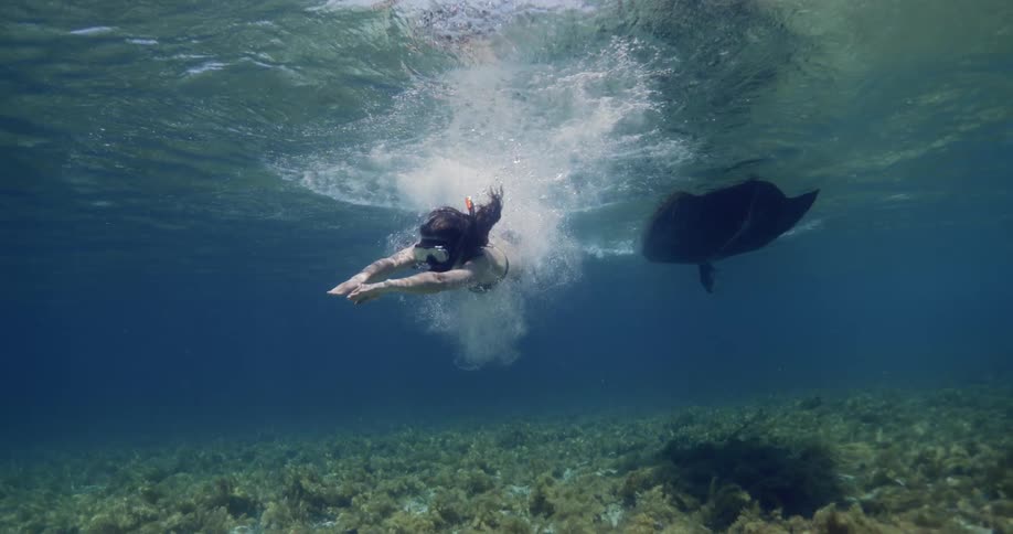 A woman jumps into and then swims in shallow open waters while wearing a snorkel and flippers