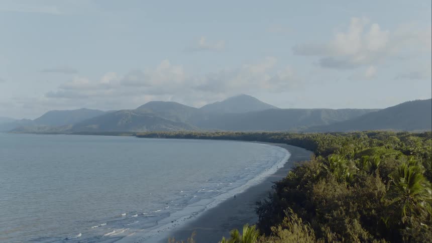 Passing over trees and palm trees and people walking on the beach