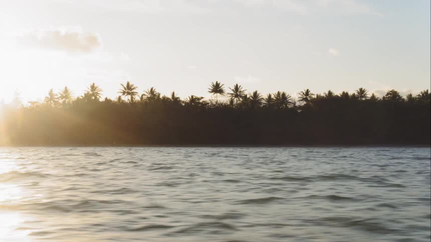 Traveling on the ocean past dense palm trees on shore at sunset
