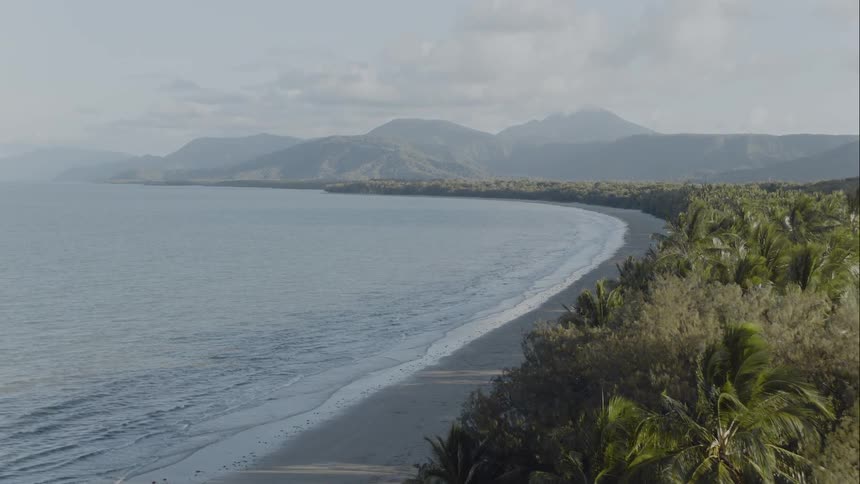 An ocean beach next to a rain forest full of dense trees mountains and fog