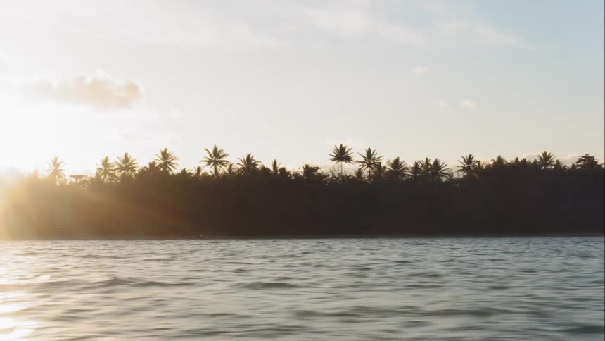 Sunlight shines over palm trees and water on a coast at sunset