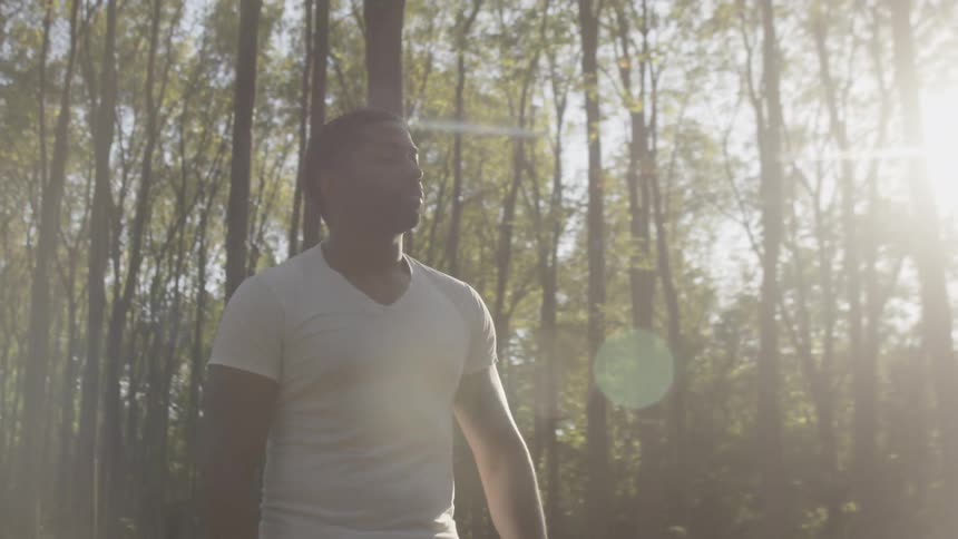 A man looks at the woodland scenery in front of him
