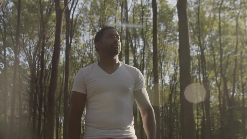 A man stands in the woods and looks toward the scenery