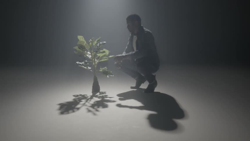 A man walks up to a houseplant that sits in the middle of an empty room
