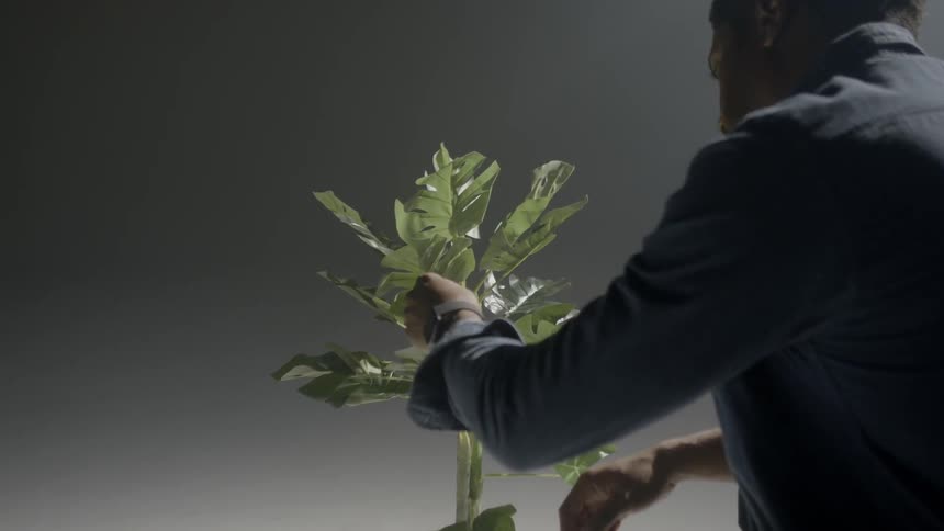 A man is looking at a plant indoors