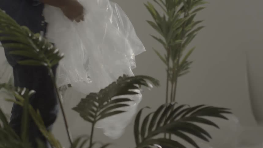 A person removing a bag from a plant