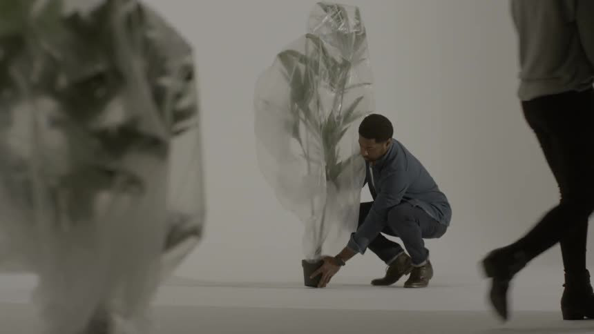 People place potted plants covered in plastic down on a floor in a white room