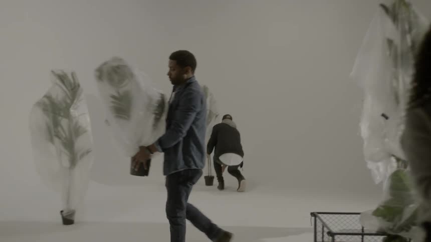 People carry and set down bagged plants in a white studio