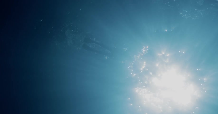 A diver swims under the ocean