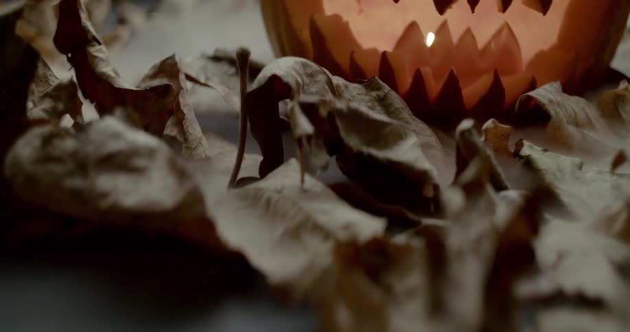 Halloween pumpkin amongst brown dried leaves on the ground