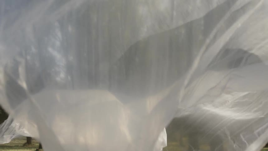 Man walks through woods releasing sheer sheet behind him