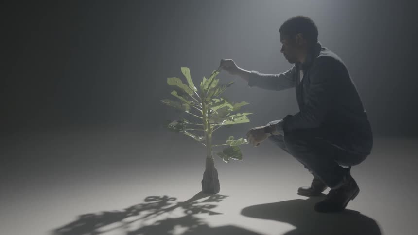 A man crouches next to a plant on the floor in an empty room