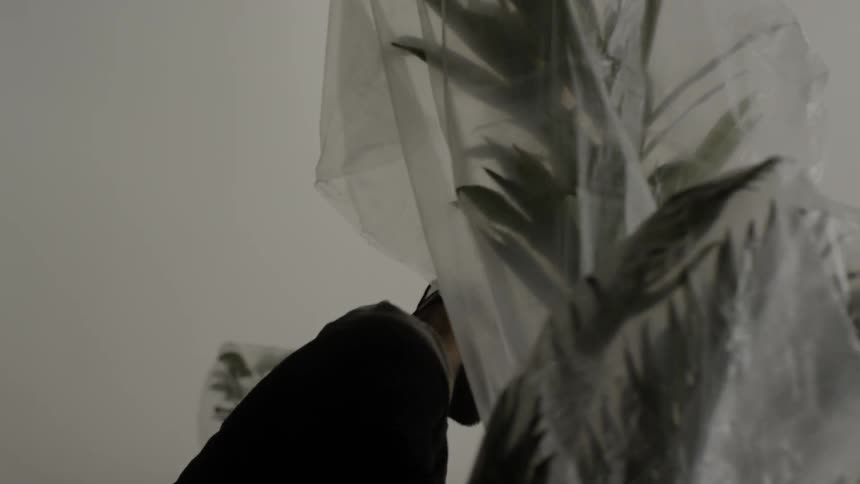 People are moving bagged plants around a stage