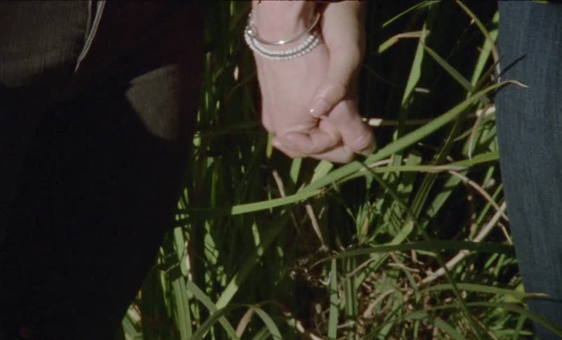 Two people holding hands while standing in tall grass