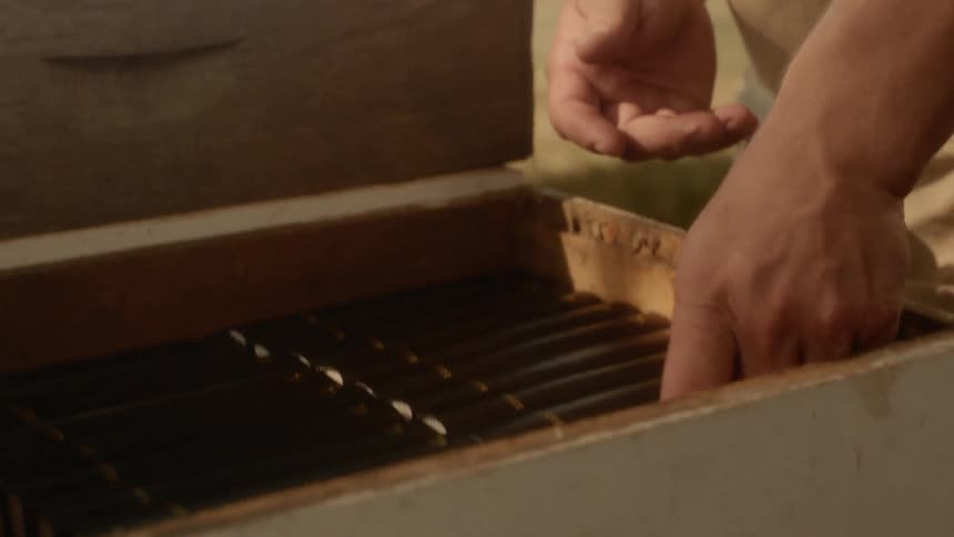 Man wearing yellow t shirt reads book then puts it in the box during daylight