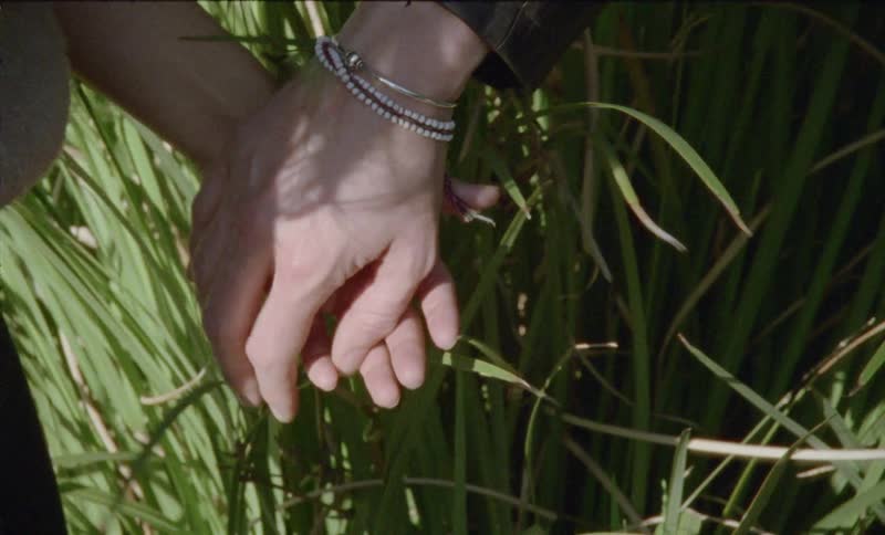 A man and a woman hold hands while standing in tall grass