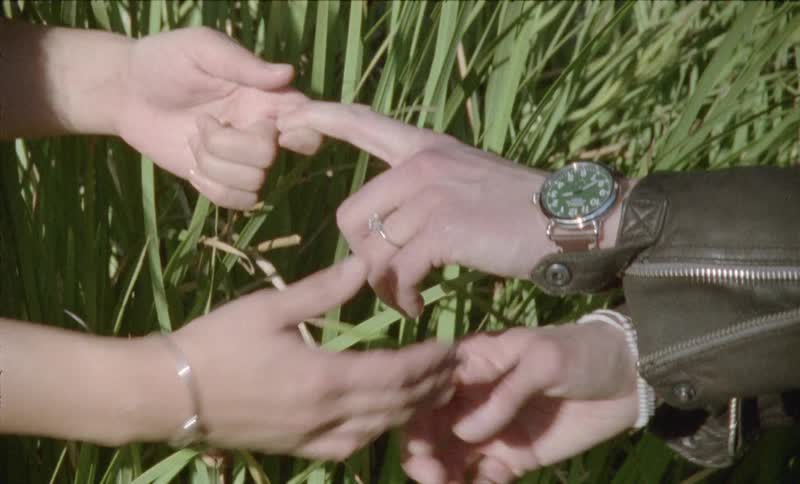 The hands of a young couple intertwine lovingly in the tall grass on a sunny day