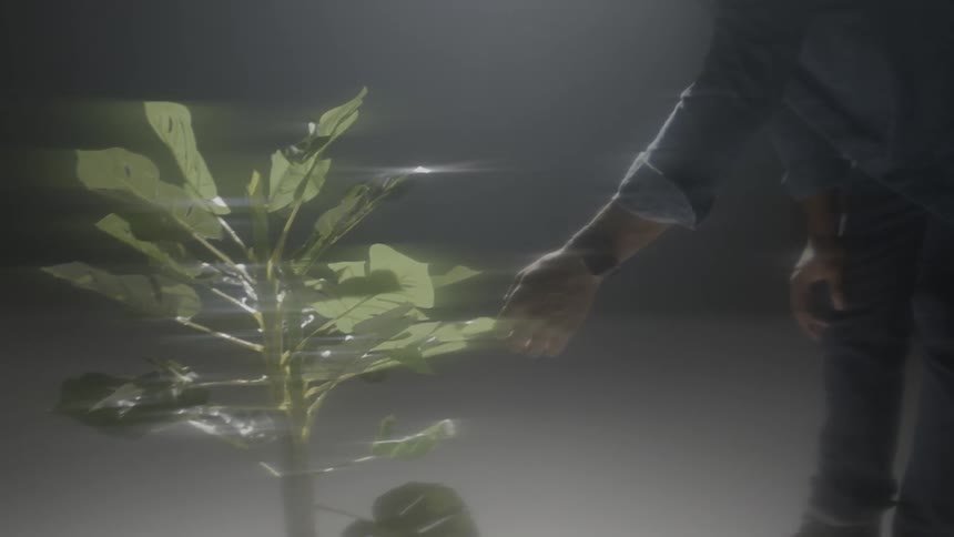 A man stands next to a plant in a studio and then touches the leaves of the plant