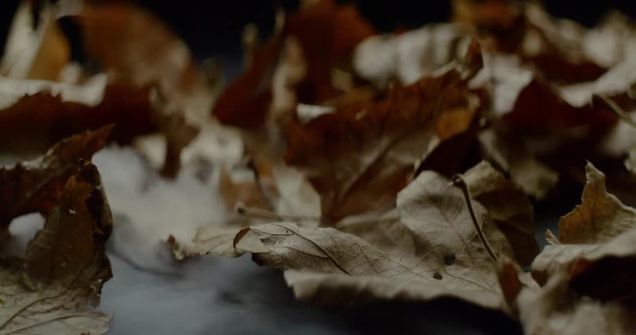 Smoke starts to roll in on a pile of leaves