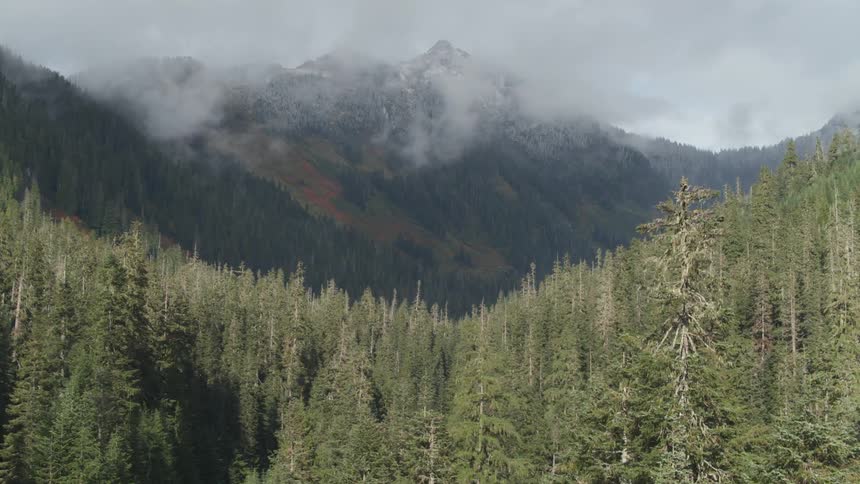 Clouds and fog hang over a mountain ridge above a forest