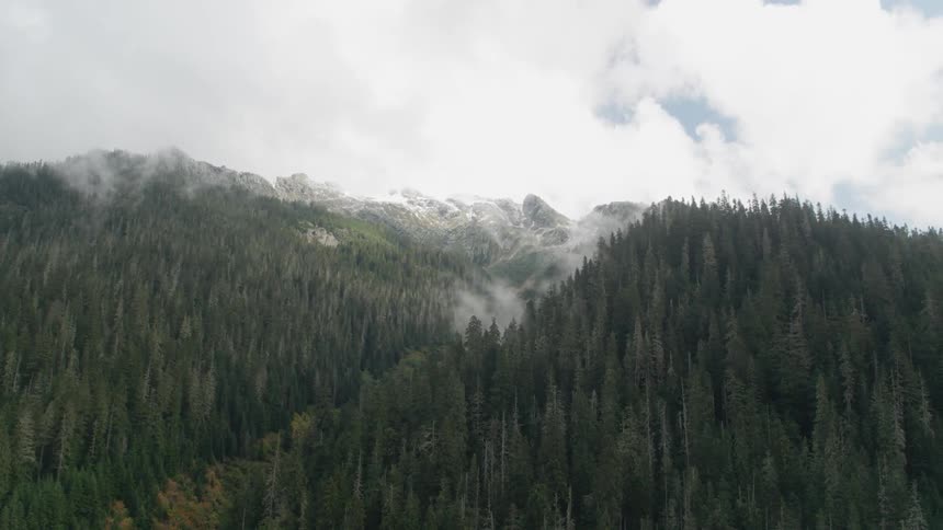Clouds and fog hang over mountain forests