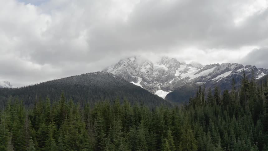 A towering mountain is covered in snow and its peak is cloaked in thick clouds as it stands above a sprawling and thick forest