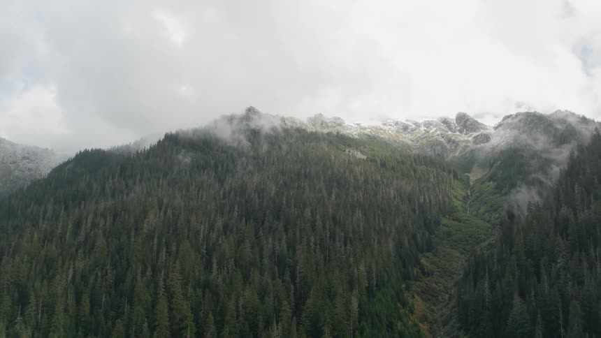 A tree covered mountain with a fog rising from the trees