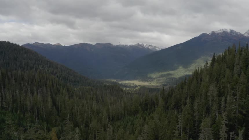 Forests stretch down the sides of mountains and through a valley