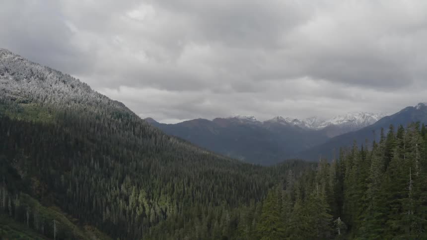 Green forest trees opens onto a landscape view of valley forests and mountains on a cloudy day