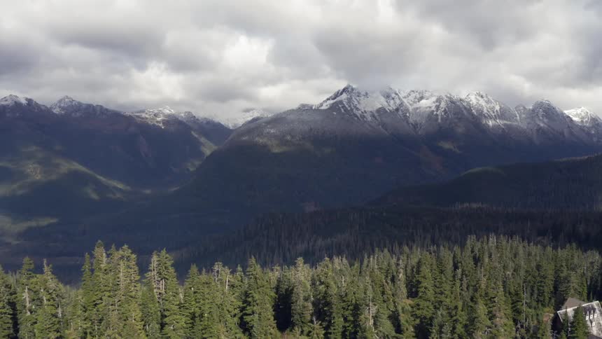 A mountain range above a pine forest on a cloudy day