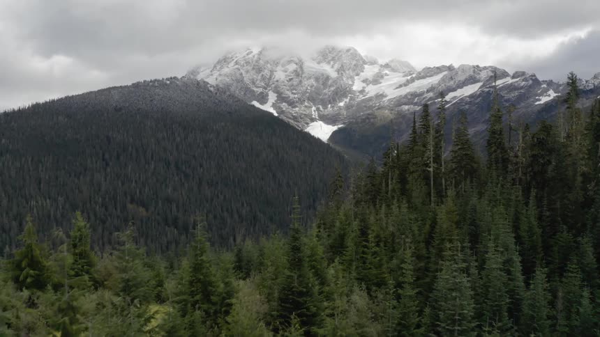 A snow topped mountain beside green forest hills