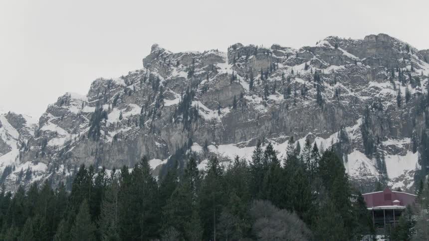A snowy mountain ridge looming over a pine woodland