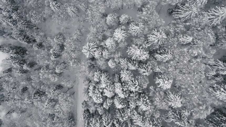 An aerial view of snow covering a wooded area