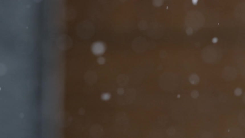 Snowflakes fall to the ground